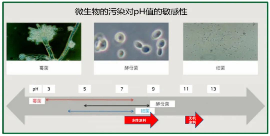 太阳城博彩高效无机涂料抗菌